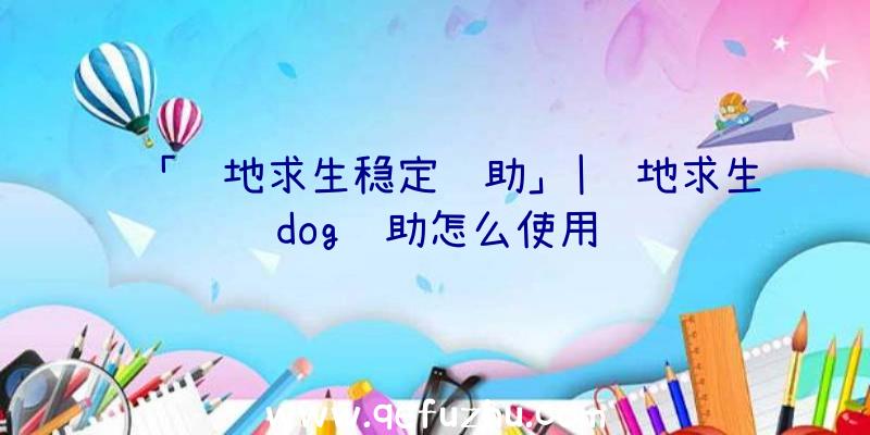「绝地求生稳定辅助」|绝地求生dog辅助怎么使用